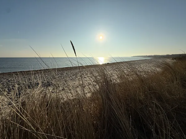 Baltic sea beach in Hohwacht in sun light, seen through dune
gras